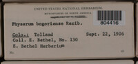 Image Associated With the Occurence